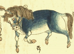 Лошадь Equus caballus L. (21-77).jpg