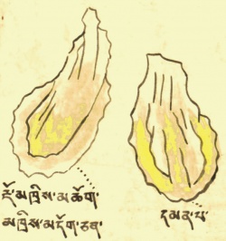 Камень желчь (23 - 116 117).jpg