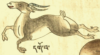 Дзерен тибетский Procapra picticaudata Hodg. (21-37).jpg