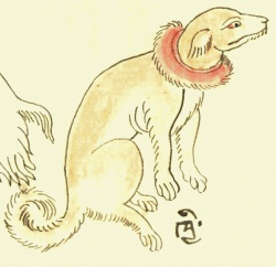 Собака домашняя Canis familiaris L. (21-84).jpg